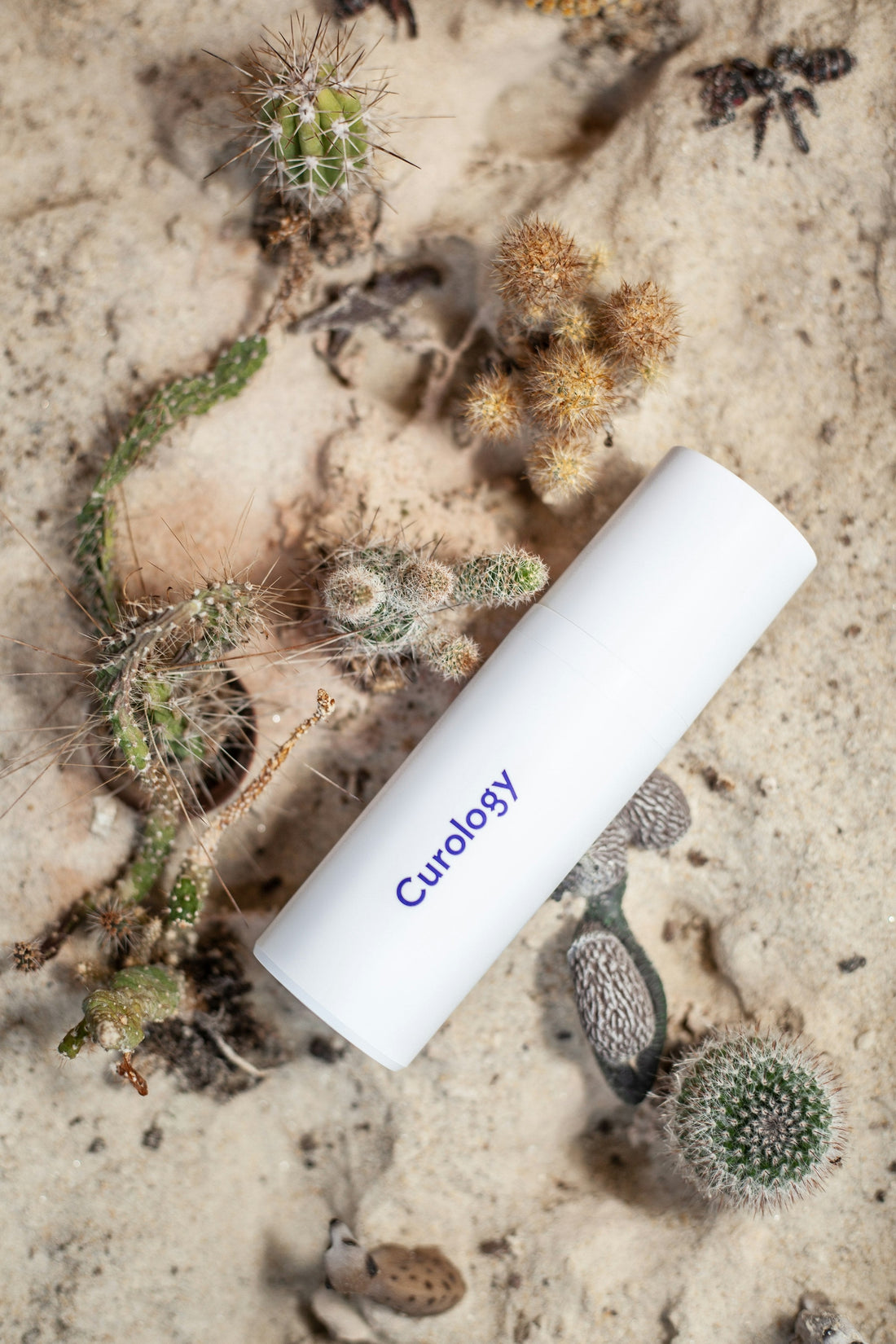 Cica, Heartleaf & Retinol: Ingredients Explained