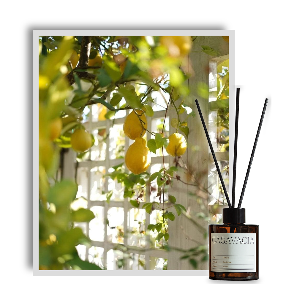CASAVACIA Odorange Verte Diffuser Air Freshener 125ml