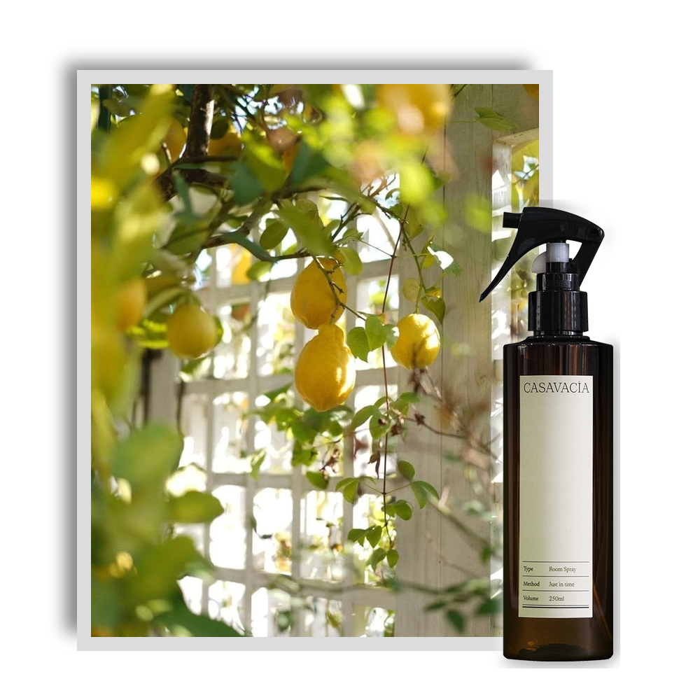 CASAVACIA Odorange Vert Room Spray Fabric Perfume 250ml